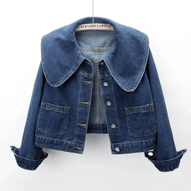 2024 New Autumn Women Denim Ja – Down Jacket Packable recenzja i cena